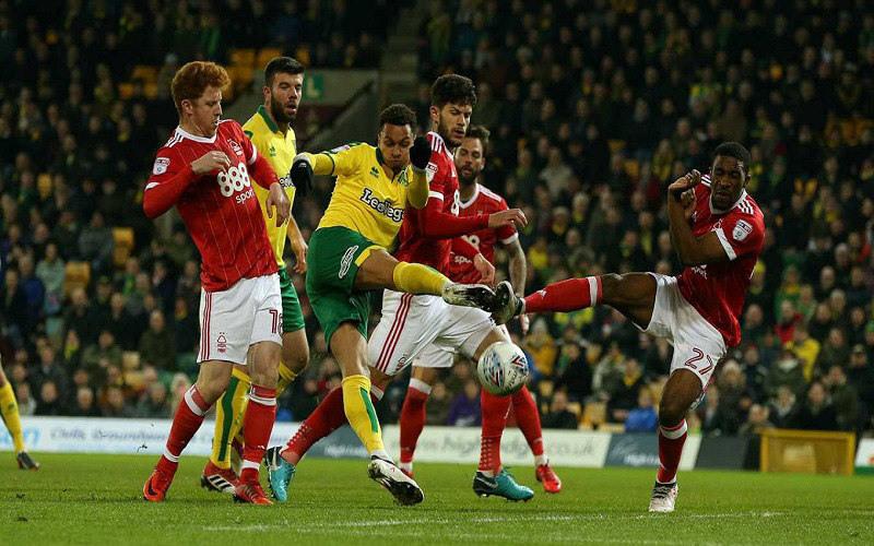 soi-keo-nhan-dinh-nottingham-vs-norwich-vao-02h00-ngay-18-03-2021-championship